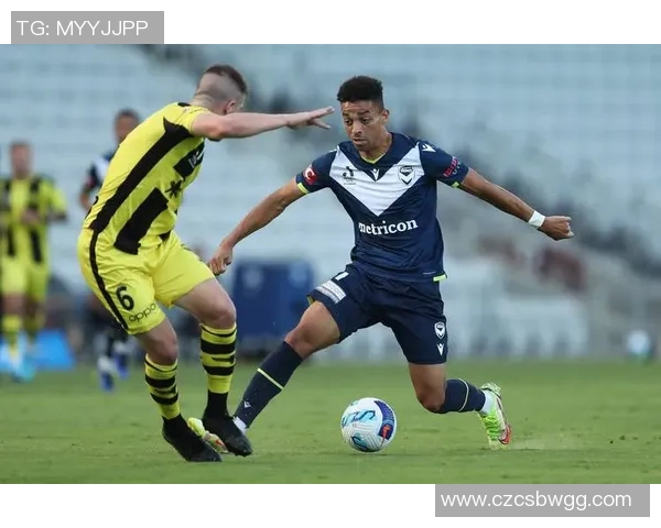 卡迪夫城对阵纽卡斯尔联比赛分析与推荐策略分享