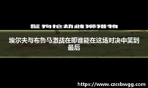 埃尔夫与布鲁马激战在即谁能在这场对决中笑到最后